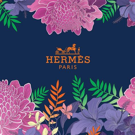 hermes promotional picture.